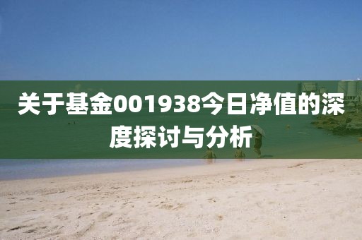 关于基金001938今日净值的深度探讨与分析