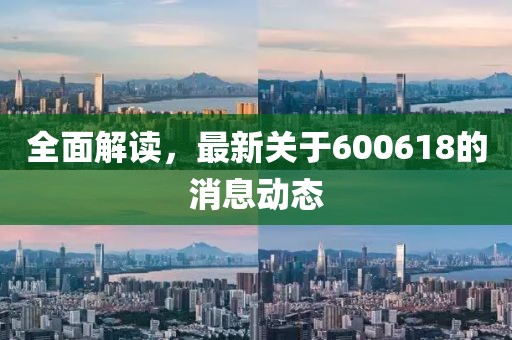 全面解读，最新关于600618的消息动态