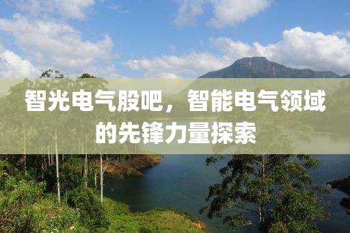 智光电气股吧，智能电气领域的先锋力量探索