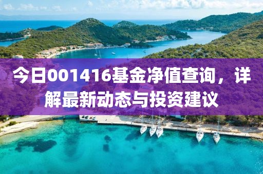 今日001416基金净值查询，详解最新动态与投资建议