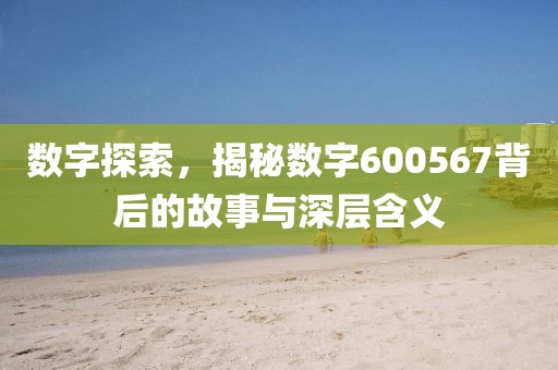 数字探索，揭秘数字600567背后的故事与深层含义