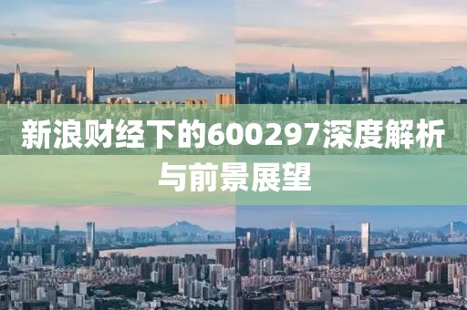 新浪财经下的600297深度解析与前景展望