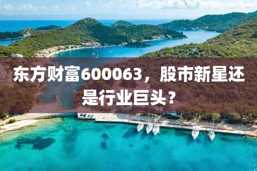 东方财富600063，股市新星还是行业巨头？