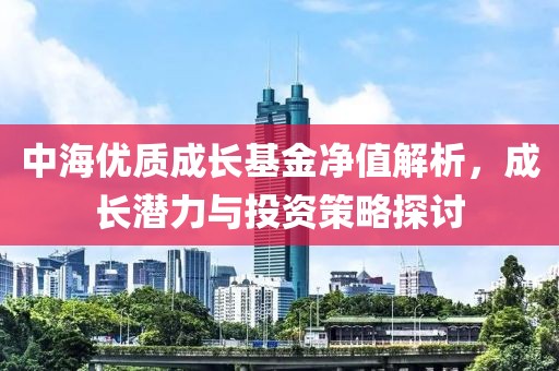 中海优质成长基金净值解析，成长潜力与投资策略探讨