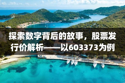 探索数字背后的故事，股票发行价解析——以603373为例