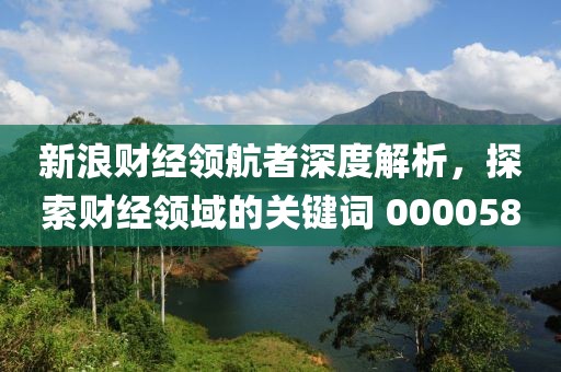 新浪财经领航者深度解析，探索财经领域的关键词 000058