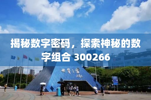 揭秘数字密码，探索神秘的数字组合 300266