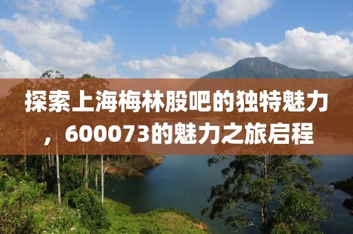 探索上海梅林股吧的獨(dú)特魅力，600073的魅力之旅啟程