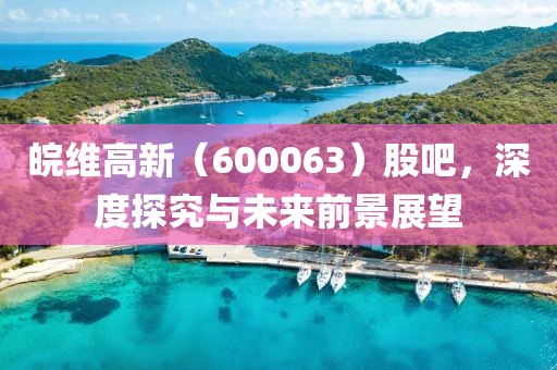 皖维高新（600063）股吧，深度探究与未来前景展望