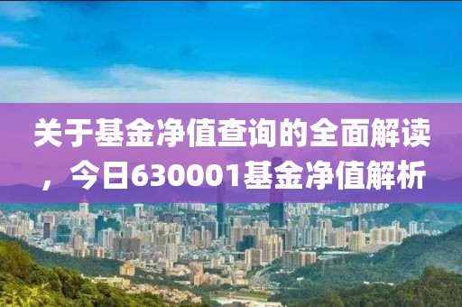 关于基金净值查询的全面解读，今日630001基金净值解析