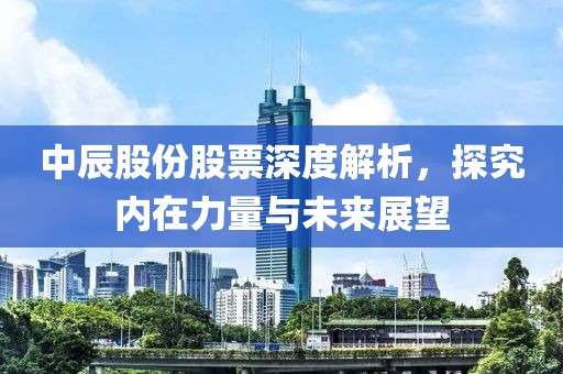 中辰股份股票深度解析，探究内在力量与未来展望