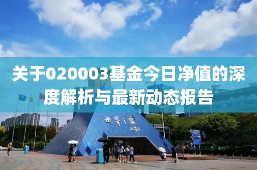 关于020003基金今日净值的深度解析与最新动态报告