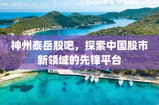 神州泰岳股吧，探索中国股市新领域的先锋平台