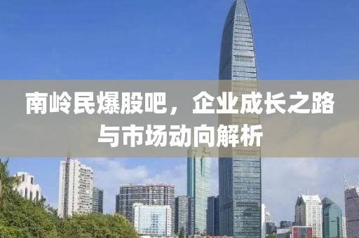 南岭民爆股吧，企业成长之路与市场动向解析