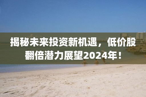 揭秘未来投资新机遇，低价股翻倍潜力展望2024年！