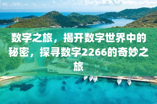 数字之旅，揭开数字世界中的秘密，探寻数字2266的奇妙之旅