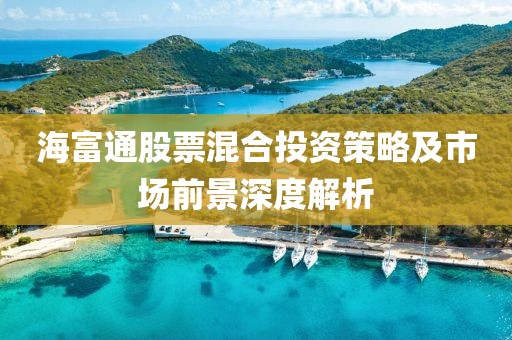 海富通股票混合投资策略及市场前景深度解析