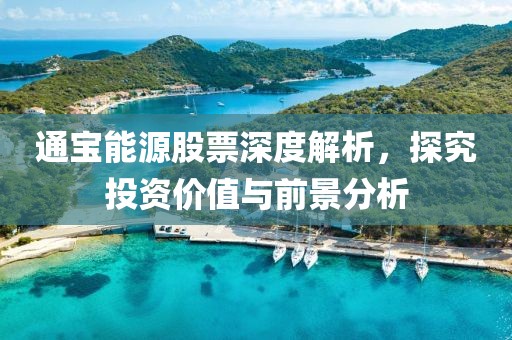 通宝能源股票深度解析，探究投资价值与前景分析