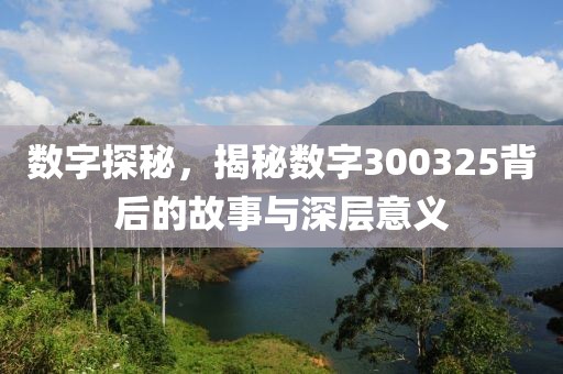 数字探秘，揭秘数字300325背后的故事与深层意义