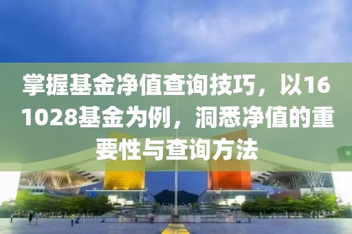 掌握基金净值查询技巧，以161028基金为例，洞悉净值的重要性与查询方法