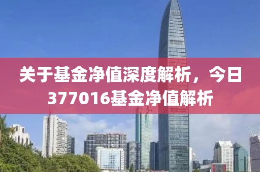 关于基金净值深度解析，今日377016基金净值解析