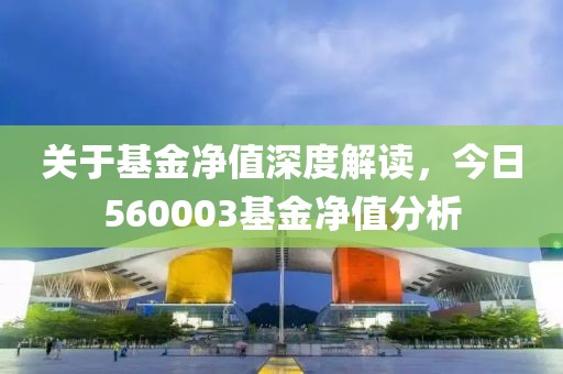 關(guān)于基金凈值深度解讀，今日560003基金凈值分析