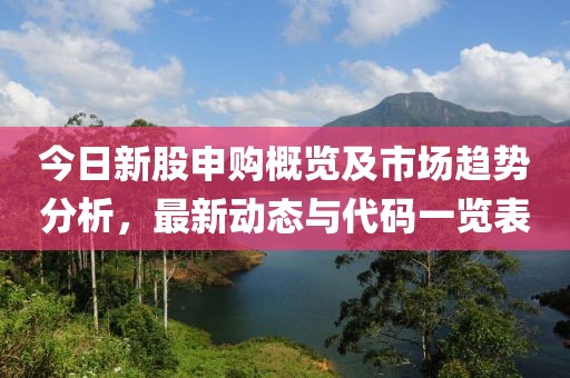 今日新股申购概览及市场趋势分析，最新动态与代码一览表