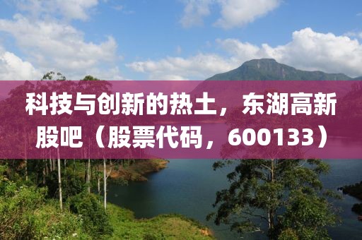 科技与创新的热土，东湖高新股吧（股票代码，600133）