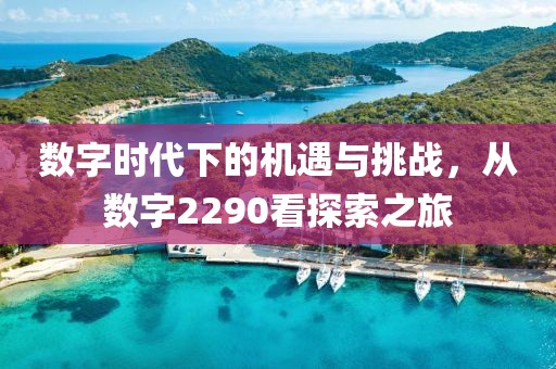 数字时代下的机遇与挑战，从数字2290看探索之旅