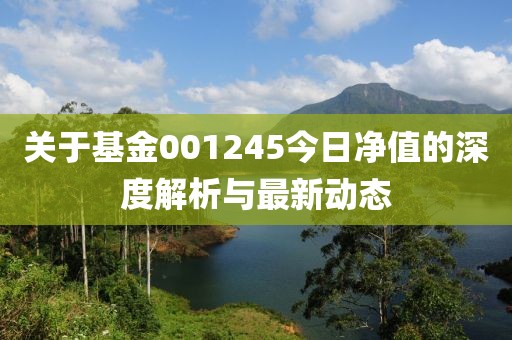 关于基金001245今日净值的深度解析与最新动态