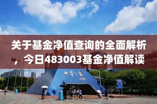 關于基金凈值查詢的全面解析，今日483003基金凈值解讀