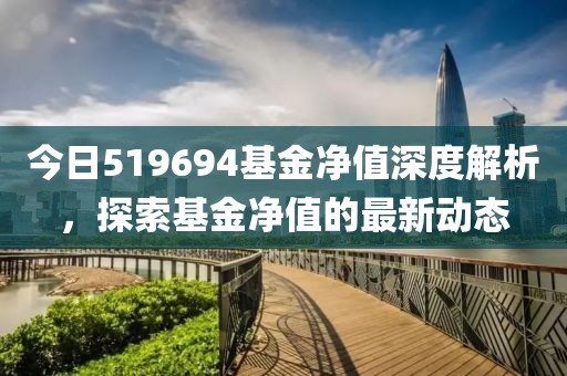 今日519694基金凈值深度解析，探索基金凈值的最新動態