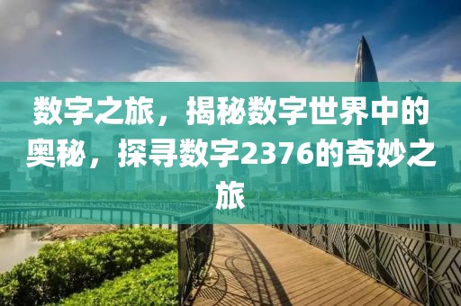 數字之旅，揭秘數字世界中的奧秘，探尋數字2376的奇妙之旅