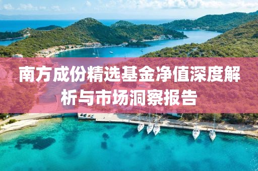 南方成份精选基金净值深度解析与市场洞察报告