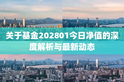 關于基金202801今日凈值的深度解析與最新動態