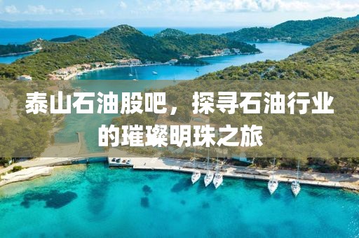 泰山石油股吧，探尋石油行業的璀璨明珠之旅