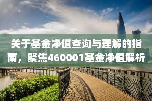 关于基金净值查询与理解的指南，聚焦460001基金净值解析