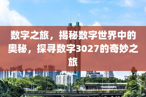 数字之旅，揭秘数字世界中的奥秘，探寻数字3027的奇妙之旅