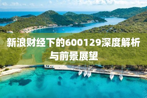 新浪财经下的600129深度解析与前景展望