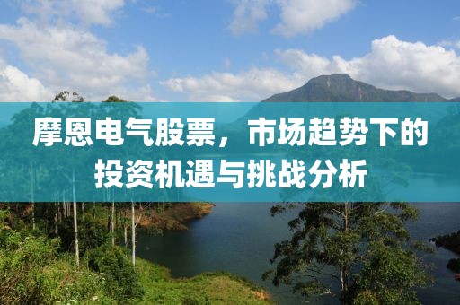 摩恩電氣股票，市場趨勢下的投資機遇與挑戰分析