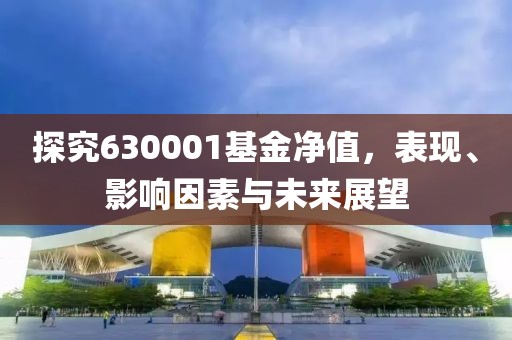 探究630001基金凈值，表現、影響因素與未來展望