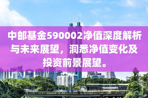 中邮基金590002净值深度解析与未来展望，洞悉净值变化及投资前景展望。