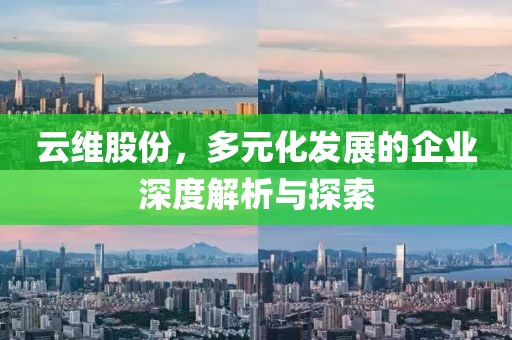 云維股份，多元化發(fā)展的企業(yè)深度解析與探索