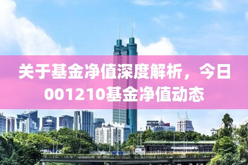 關于基金凈值深度解析，今日001210基金凈值動態