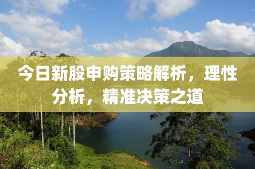 今日新股申购策略解析，理性分析，精准决策之道