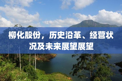 柳化股份，历史沿革、经营状况及未来展望展望