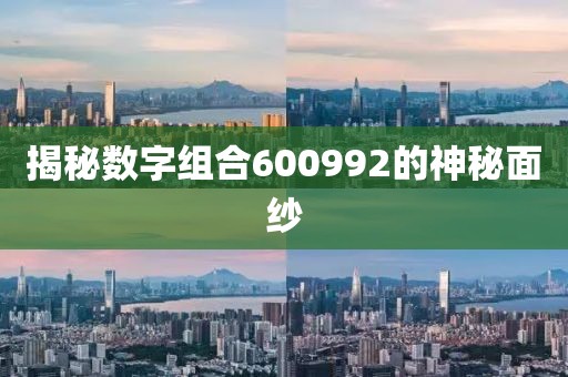 揭秘数字组合600992的神秘面纱