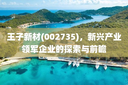 王子新材(002735)，新兴产业领军企业的探索与前瞻