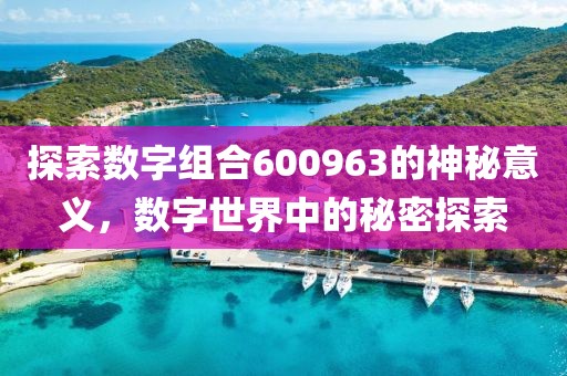 探索数字组合600963的神秘意义，数字世界中的秘密探索