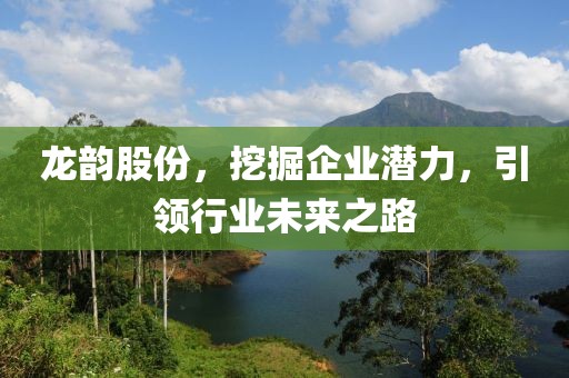 龍韻股份，挖掘企業(yè)潛力，引領(lǐng)行業(yè)未來(lái)之路